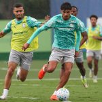 ParkShopping São Caetano e Instituto Caramelo promovem feira de adoção de pets