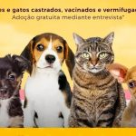 Detran-SP muda regras para reduzir espera por exames práticos de habilitação