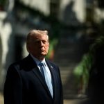 Lei define guarda compartilhada de pets; veja detalhes