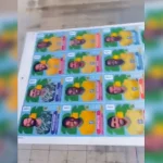 Vacinação contra a gripe será aplicada na estação da CPTM de Ribeirão Pires nesta quinta