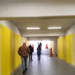 Parque Central recebe edição de setembro do Moeda Pet neste sábado