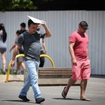 Guia ajuda a transformar áreas verdes de condomínios e loteamentos para conter enxurradas e reduzir o calor