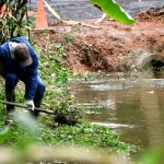 Feirão de Emprego oferece mais de 850 vagas com carteira assinada.